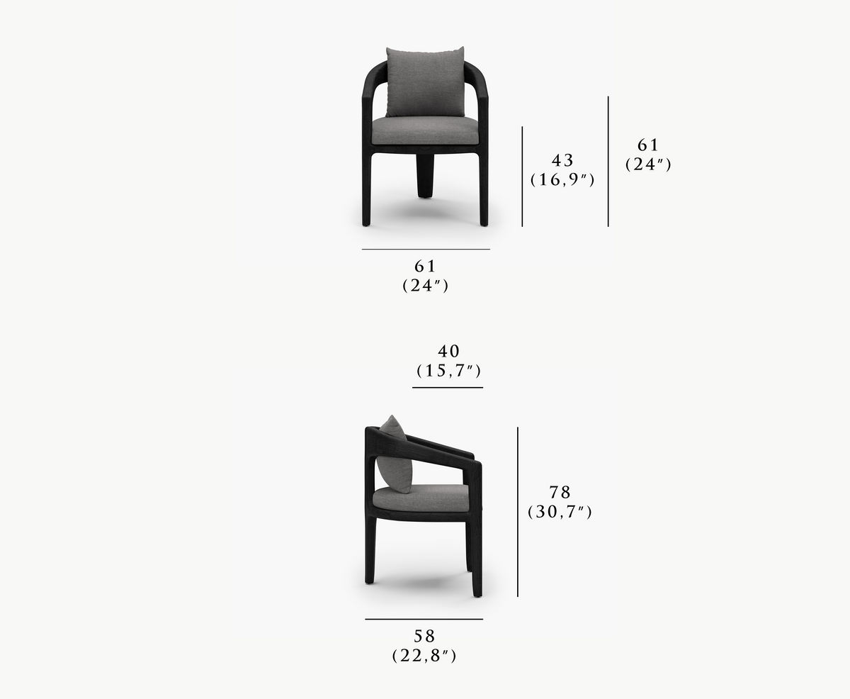 WHALE-noche DINING CHAIR