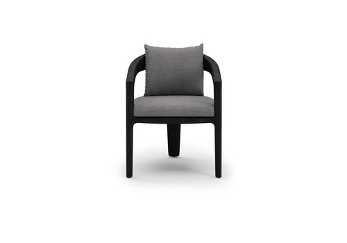 Whale noche Dining Chair